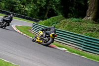 cadwell-no-limits-trackday;cadwell-park;cadwell-park-photographs;cadwell-trackday-photographs;enduro-digital-images;event-digital-images;eventdigitalimages;no-limits-trackdays;peter-wileman-photography;racing-digital-images;trackday-digital-images;trackday-photos